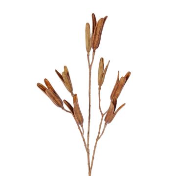 Umělá větvička lilie ELFIDA, hnědá, 80 cm