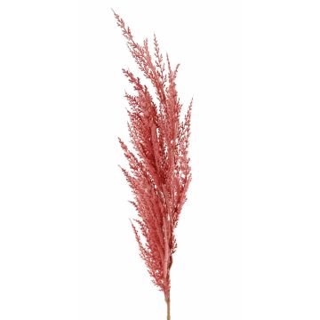 Umělá větvička pampové trávy ERATO, růžová, 100 cm