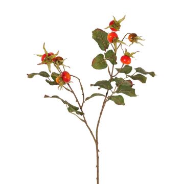 Umělá větev divoké růže FILONAS s plody, oranžovo-červená, 60 cm