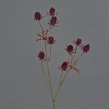 Plastový bodlák LOUKAS, vínová, 45cm, Ø1,5cm