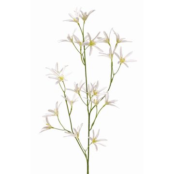 Umělá květina tvídie PALLAS, bílá, 75cm, Ø5cm