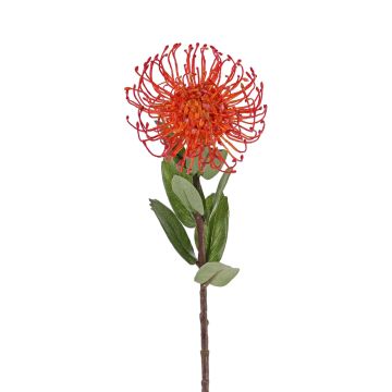 Umělá protea BAILY, oranžová, 50cm, Ø12cm