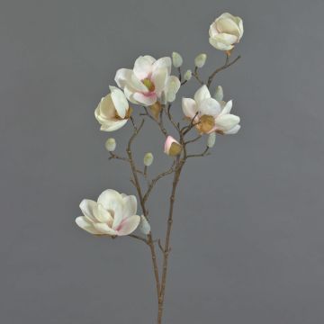 Textilní magnólie KOSTAS, krémově růžová, 80cm, Ø5-8cm