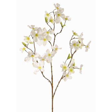 Umělá květina dřín NARIUS s květy, krémová, 85cm