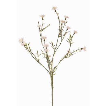 Umělá květina chrpa ZENOBIOS, krémová, 80 cm