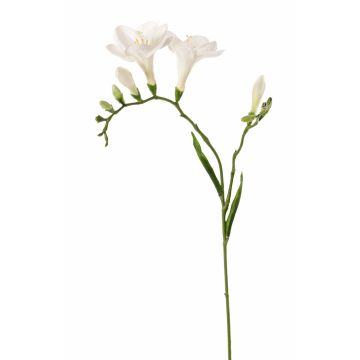 Textilní květina frézia MARUSHA, bílá, 65cm, Ø7cm