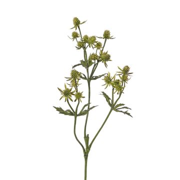 Umělá květina bodlák KALYPSO, zelená, 65 cm
