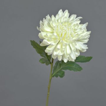 Textilní květina chryzantéma DELPHINA, krémová, 65cm, Ø14cm
