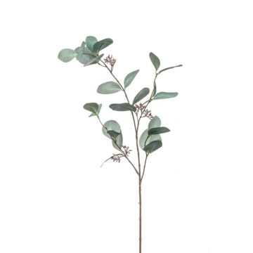Umělá větev eukalyptu MAXEN s plody, zelenošedá, 75cm