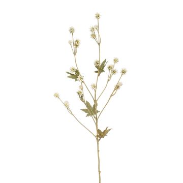 Umělá květina žindava PINKOLA, krémová, 65cm