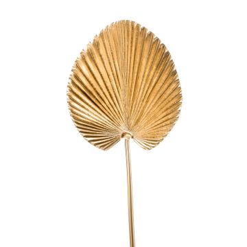 Umělá palma washingtonie RHENA, zlatá, 75cm