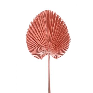 Umělá palma washingtonia RHENA, fialová, 75cm