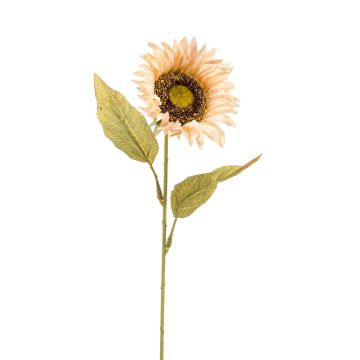 Umělá slunečnice SELWYN, žlutobéžová, 65cm