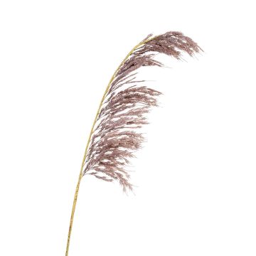 Umělá větev pampové trávy SGARLAD, starofialová, 125cm