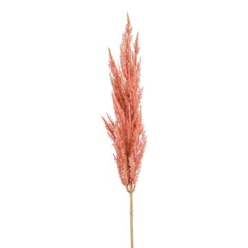 Umělá větev pampové trávy SIWON, fialová, 90cm