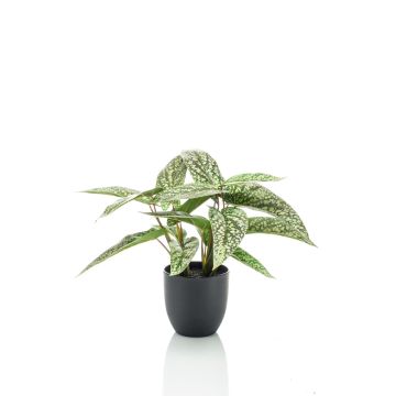 Umělá kalatea rufibarba VAIDA v dekorativním květináči, zelenobílá, 40cm