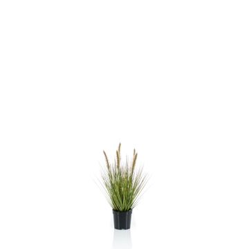 Umělá tráva dochan psárkovitý YWAIN laty, béžově zelená, 45cm