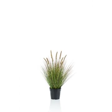 Umělá tráva dochan psárkovitýYWAIN laty, béžově zelená, 60cm