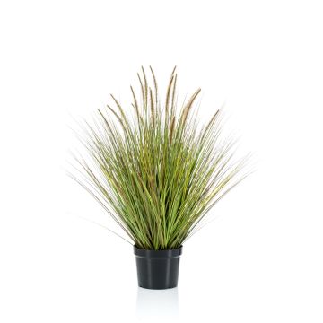 Umělá tráva dochan psárkovitý YWAIN laty, béžově zelená, 10cm