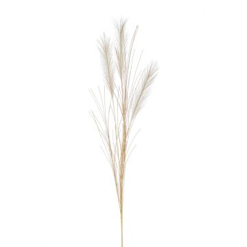 Umělá pampová tráva BALARI, větvička, krémová, 65cm