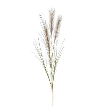 Umělá pampová tráva BALARI, větvička, hnědá, 65cm