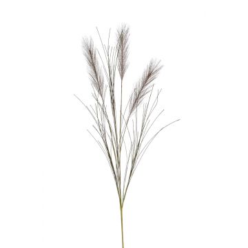 Umělá pampová tráva BALARI, větvička, tmavě hnědá, 65cm