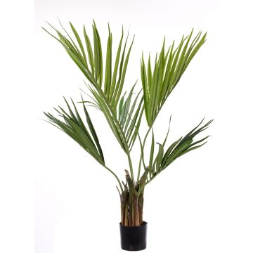 Umělá kentia palma PAIGE, 105cm