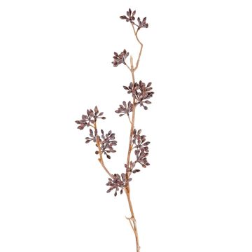 Plastová eukalyptová větev SOHA s plody, hnědá, 60 cm