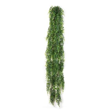 Umělá knoflíková kapradina PORRIMA, zelená, 140cm