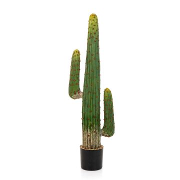 Umělý sloupovitý kaktus GOMEISA, zeleno-červený, 125cm