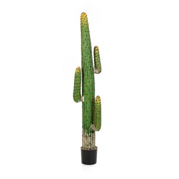 Umělý sloupovitý kaktus GOMEISA, zeleno-červený, 170cm