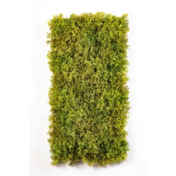 Dekorační rohož z islandského mechu MUSCIDA, zeleno-hnědá, nehořlavá, 25x50cm