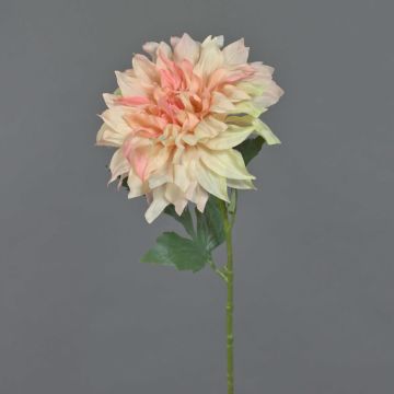Dekorační jiřina NATSU, broskvová, 60cm