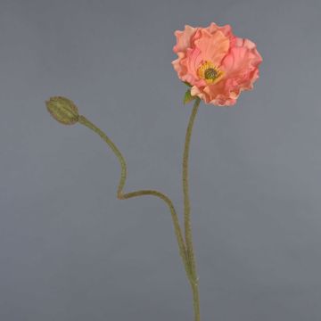Umělý vlčí mák HASNA, broskvový, 75cm