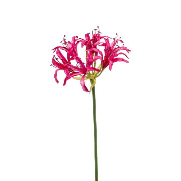 Dekorační květina nerine BAIMAI, růžová, 75cm