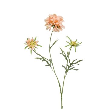 Dekorační květina hlaváč MARUA, broskvová, 80cm