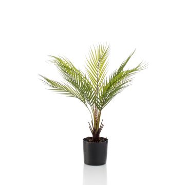 Umělá palma horská AIKU, 50cm
