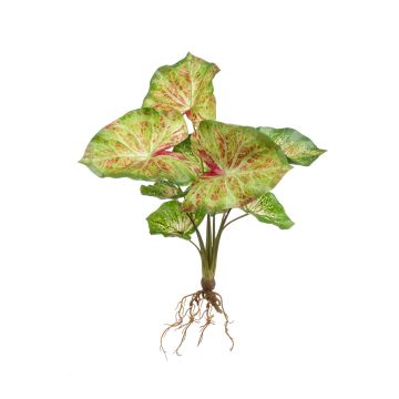 Umělá rostlina syngónie AKAYU, na zápichu, kořeny, zeleno-červená, 40cm