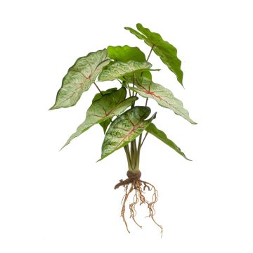 Umělé kaládium USAGI, zápich, kořeny, zeleno-červené, 35cm