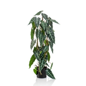Umělá alocasia sanderiana SASORI, zeleno-bílá, 75cm