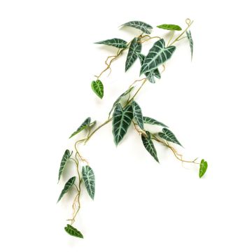 Dekorativní věnec alocasia sanderiana SEISHIN, zeleno-bílý, 110cm