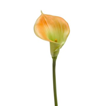 Dekorativní květina calla DAISCHI, žlutozelená, 70cm