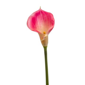 Dekorativní květina calla DAISCHI, růžovo-krémová, 70cm