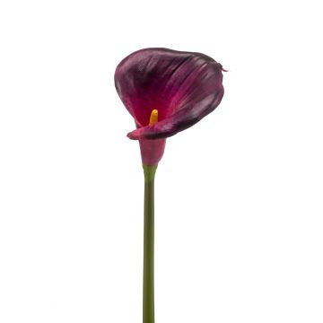 Dekorativní květina calla DAISCHI, vínově červená, 70cm