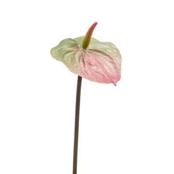 Umělý květ plameňáka YUSEI, zeleno-růžový, 65cm