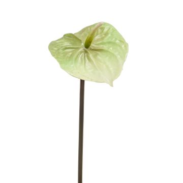 Umělý květ plameňáka YUSEI, zelená-krémová, 65cm