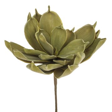 Umělá rostlina aloe vera LIERA, olivově zelená, 30cm
