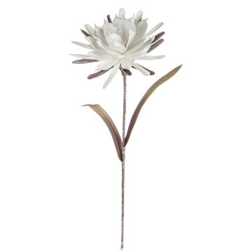 Umělá květina kaktusu královna noci MOADI, bílá-stará-růžová, 90cm