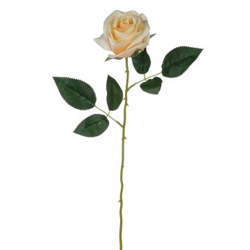 Textilní růže SEENSA, krémově meruňková, 55cm, Ø7cm