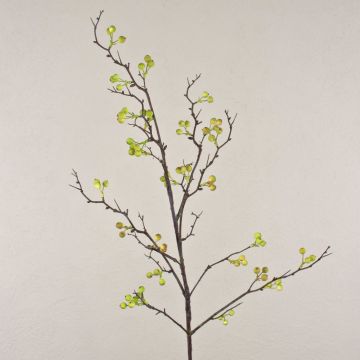Umělá větvička libavky LEERDIK s plody, zelená, 120cm